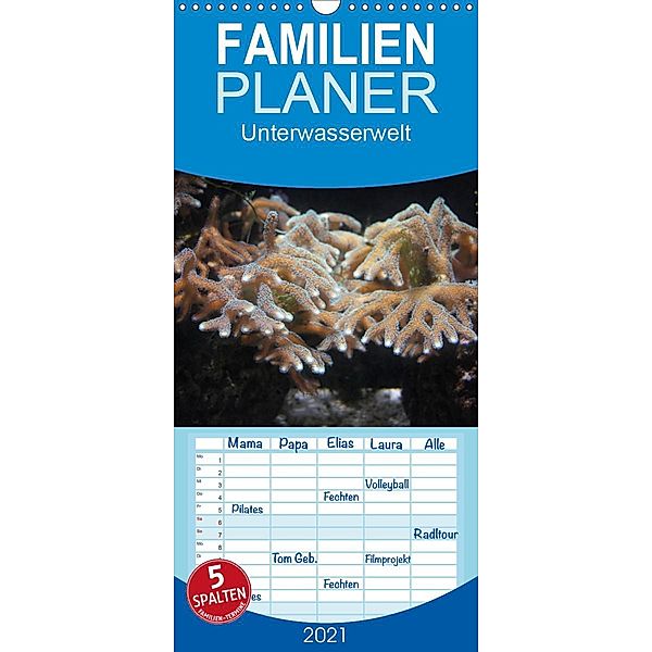 Unterwasserwelt - Familienplaner hoch (Wandkalender 2021 , 21 cm x 45 cm, hoch), Stefanie Wandt