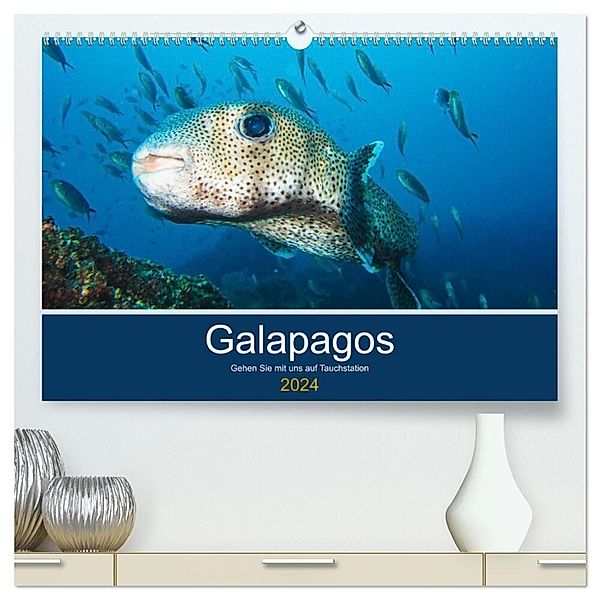 Unterwasserwelt Galapagos (hochwertiger Premium Wandkalender 2024 DIN A2 quer), Kunstdruck in Hochglanz, IAM photography