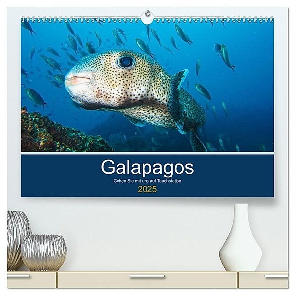 Unterwasserwelt Galapagos (hochwertiger Premium Wandkalender 2025 DIN A2 quer), Kunstdruck in Hochglanz, Calvendo, IAM photography