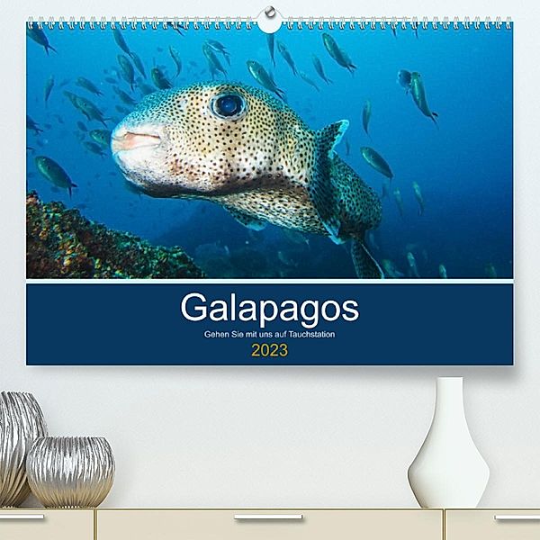 Unterwasserwelt Galapagos (Premium, hochwertiger DIN A2 Wandkalender 2023, Kunstdruck in Hochglanz), IAM photography