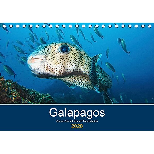 Unterwasserwelt Galapagos (Tischkalender 2020 DIN A5 quer), IAM photography