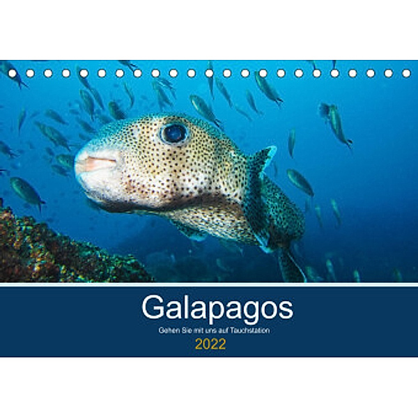 Unterwasserwelt Galapagos (Tischkalender 2022 DIN A5 quer), IAM photography