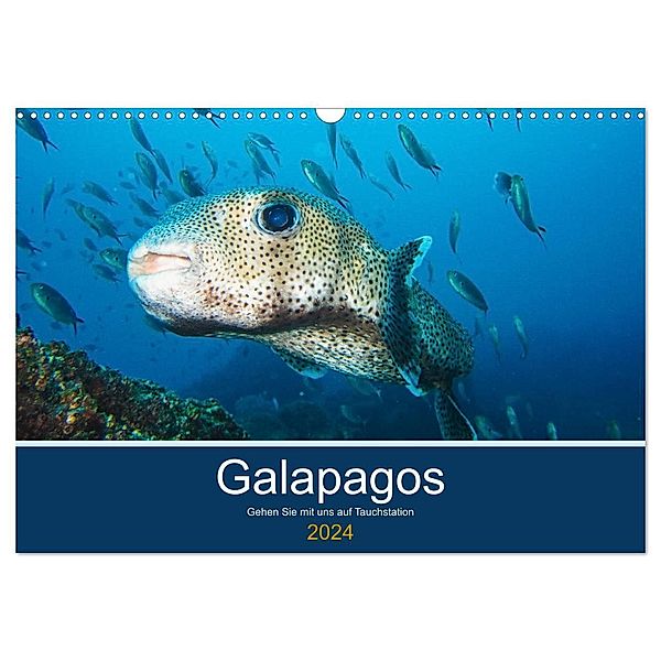Unterwasserwelt Galapagos (Wandkalender 2024 DIN A3 quer), CALVENDO Monatskalender, IAM photography