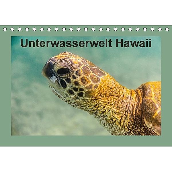 Unterwasserwelt Hawaii (Tischkalender 2017 DIN A5 quer), Rolf Hitzbleck