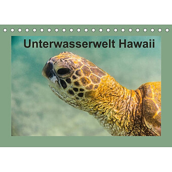 Unterwasserwelt Hawaii (Tischkalender 2022 DIN A5 quer), Rolf Hitzbleck