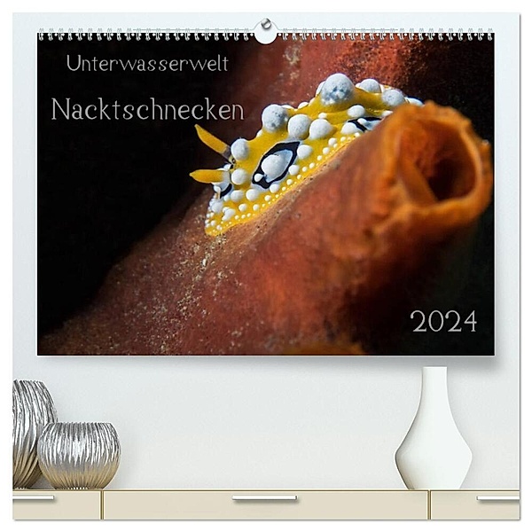 Unterwasserwelt Nacktschnecken (hochwertiger Premium Wandkalender 2024 DIN A2 quer), Kunstdruck in Hochglanz, Dorothea Oldani
