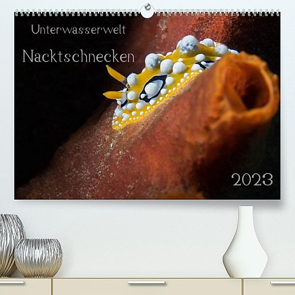 Unterwasserwelt Nacktschnecken (Premium, hochwertiger DIN A2 Wandkalender 2023, Kunstdruck in Hochglanz), Dorothea Oldani