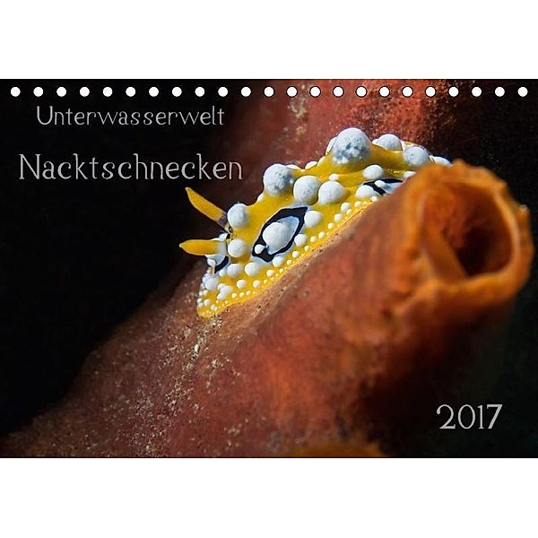 Unterwasserwelt Nacktschnecken (Tischkalender 2017 DIN A5 quer), Dorothea Oldani