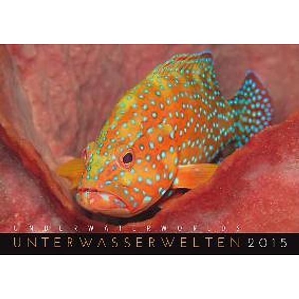 Unterwasserwelten 2015