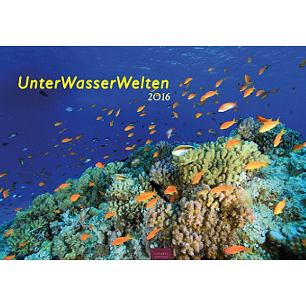 Unterwasserwelten 2016
