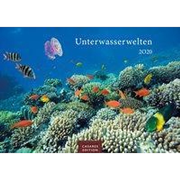 Unterwasserwelten 2020