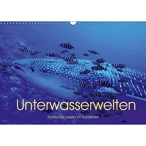 Unterwasserwelten - Exotisches Leben im Korallenriff (Wandkalender 2016 DIN A3 quer), Patrick Verhey