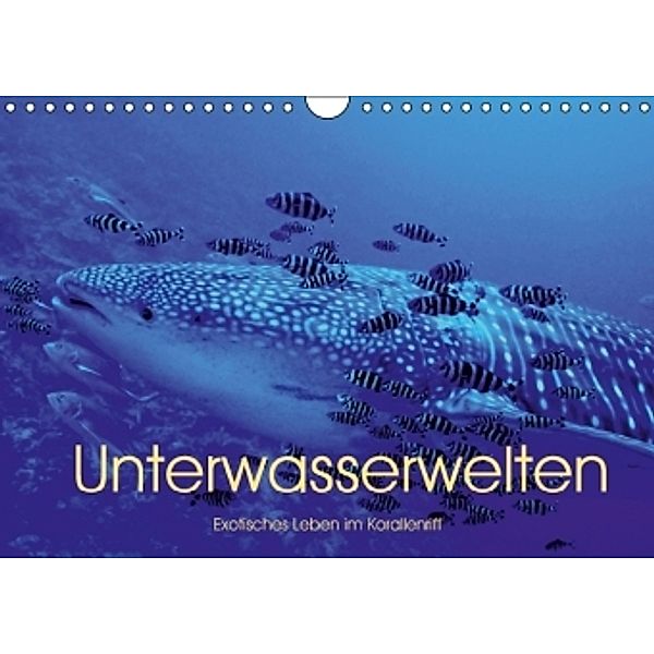 Unterwasserwelten - Exotisches Leben im Korallenriff (Wandkalender 2016 DIN A4 quer), Patrick Verhey
