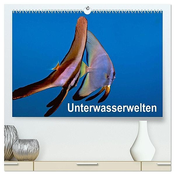 Unterwasserwelten (hochwertiger Premium Wandkalender 2024 DIN A2 quer), Kunstdruck in Hochglanz, Dieter Gödecker