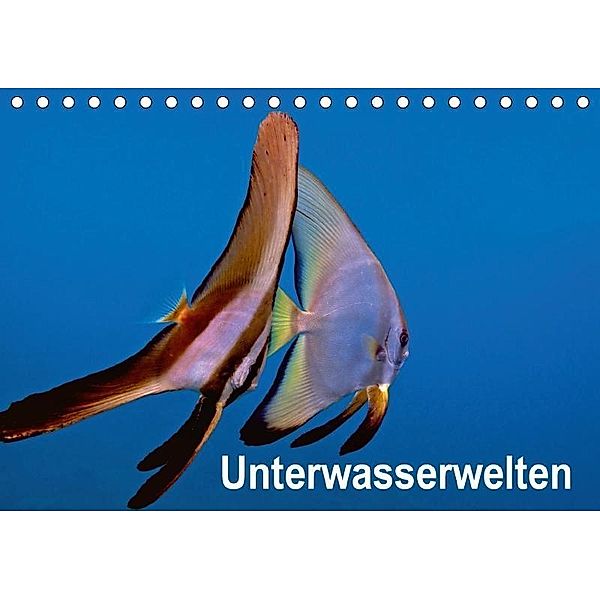 Unterwasserwelten (Tischkalender 2017 DIN A5 quer), Dieter Gödecker