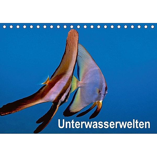 Unterwasserwelten (Tischkalender 2018 DIN A5 quer), Dieter Gödecker
