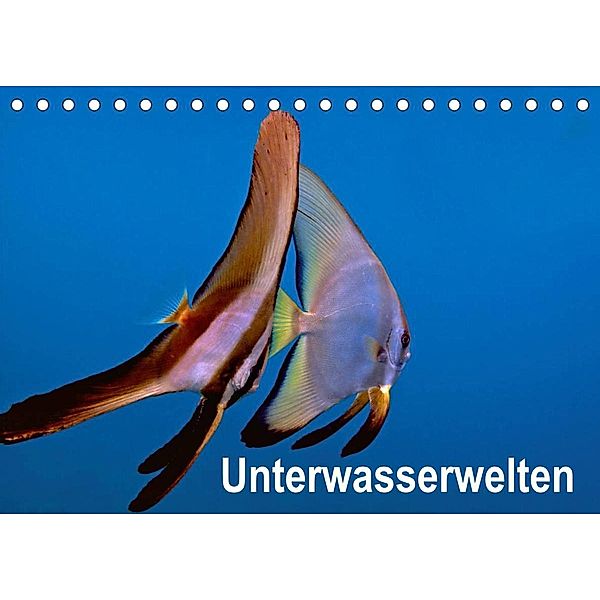 Unterwasserwelten (Tischkalender 2023 DIN A5 quer), Dieter Gödecker