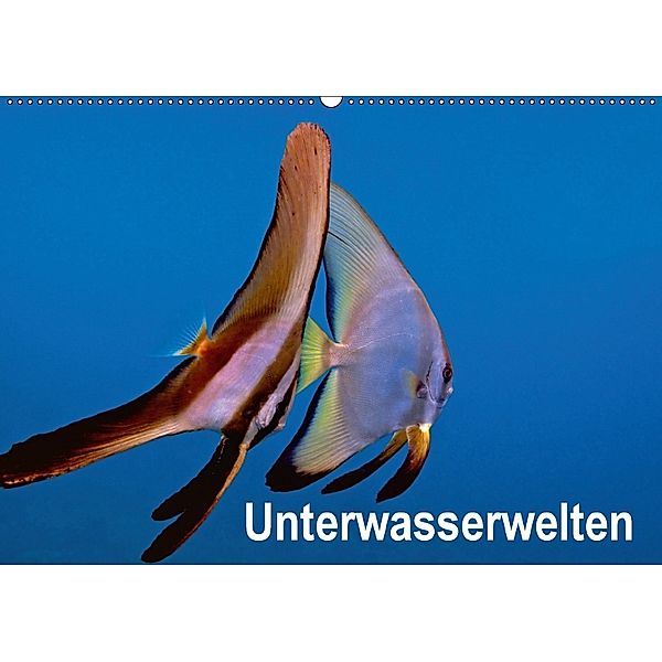 Unterwasserwelten (Wandkalender 2018 DIN A2 quer), Dieter Gödecker