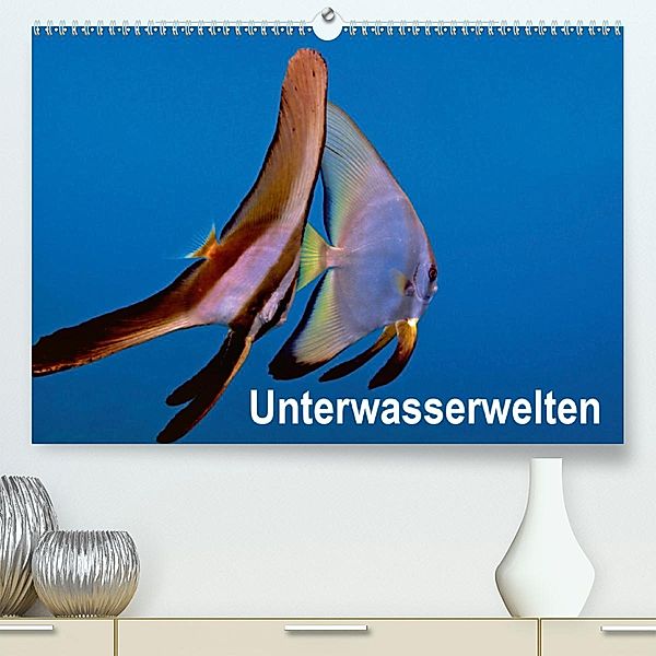 Unterwasserwelten(Premium, hochwertiger DIN A2 Wandkalender 2020, Kunstdruck in Hochglanz), Dieter Gödecker