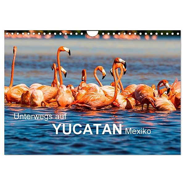Unterwegs auf Yucatan Mexiko (Wandkalender 2024 DIN A4 quer), CALVENDO Monatskalender, Frank Baumert