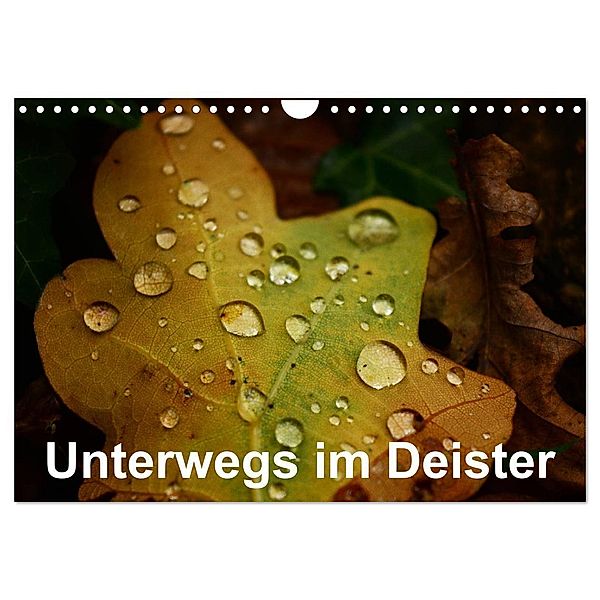 Unterwegs im Deister (Wandkalender 2025 DIN A4 quer), CALVENDO Monatskalender, Calvendo, Simon Witt