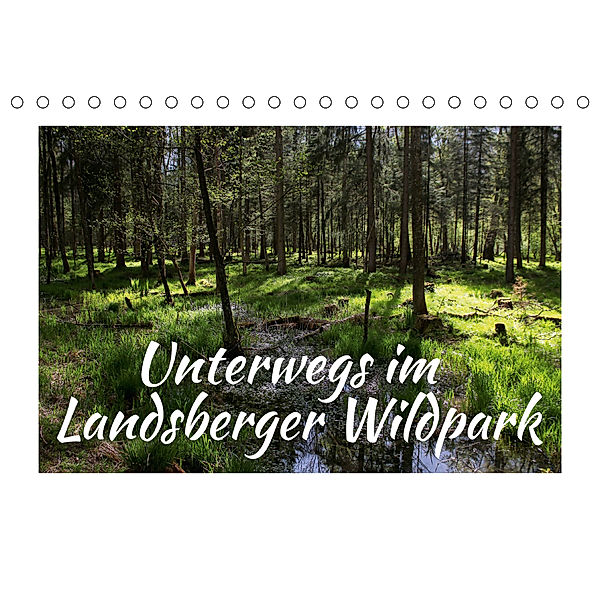 Unterwegs im Landsberger Wildpark (Tischkalender 2020 DIN A5 quer), Maria Reichenauer