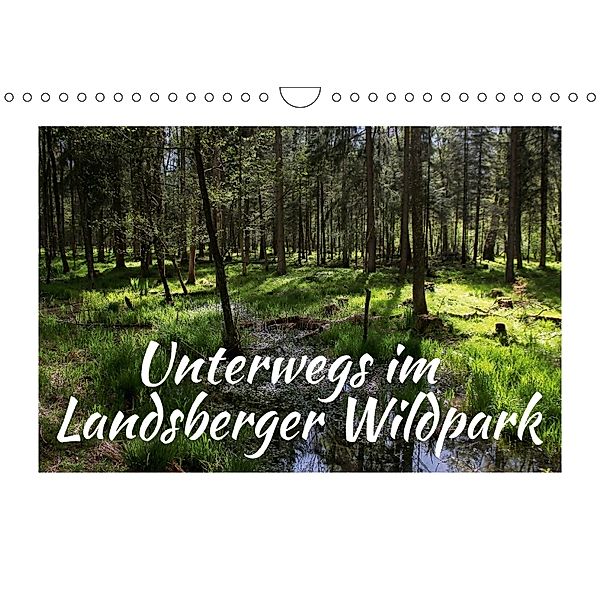 Unterwegs im Landsberger Wildpark (Wandkalender 2018 DIN A4 quer), Maria Reichenauer