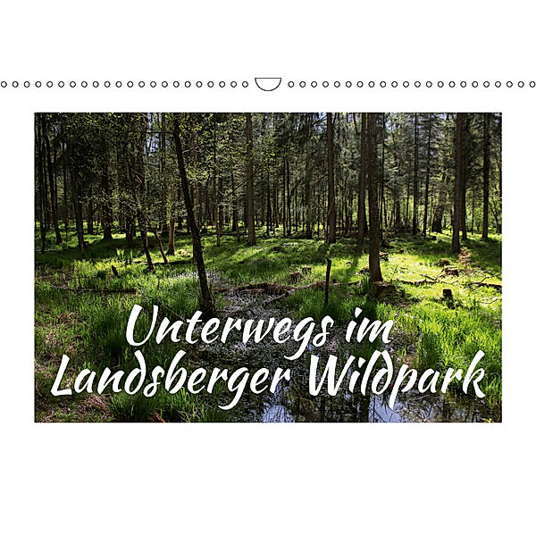 Unterwegs im Landsberger Wildpark (Wandkalender 2019 DIN A3 quer), Maria Reichenauer