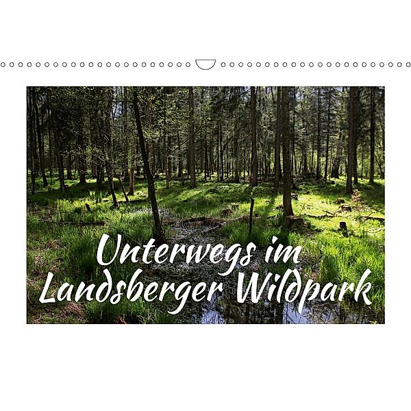 Unterwegs im Landsberger Wildpark (Wandkalender 2020 DIN A3 quer), Maria Reichenauer