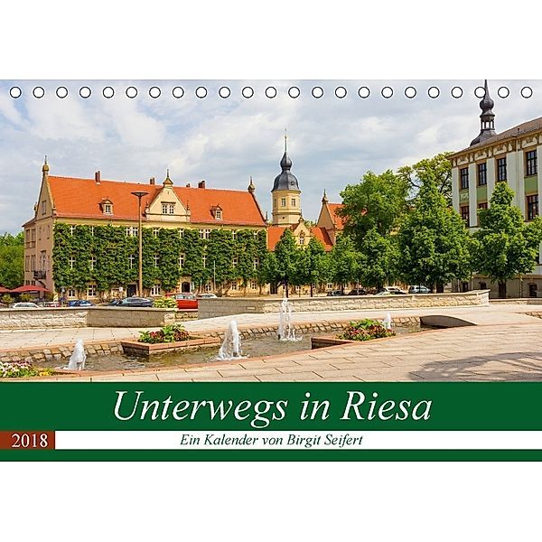 Unterwegs in Riesa (Tischkalender 2018 DIN A5 quer), Birgit Seifert