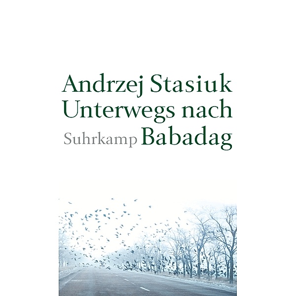 Unterwegs nach Babadag, Andrzej Stasiuk