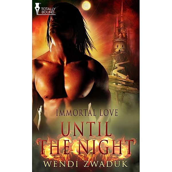 Until the Night / Totally Bound Publishing, Wendi Zwaduk