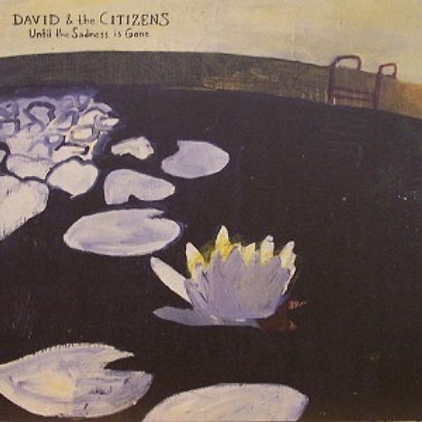 Until The Sadness Is Gone (Vinyl), David & The Citizens