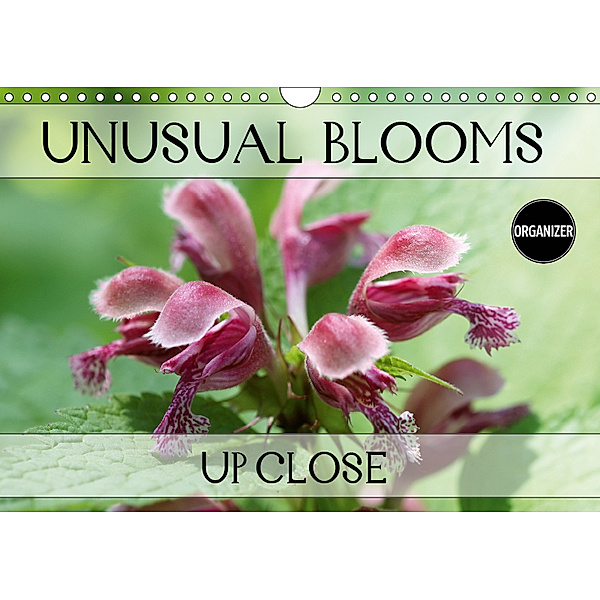 Unusual Blooms Up Close (Wall Calendar 2019 DIN A4 Landscape), Gisela Kruse
