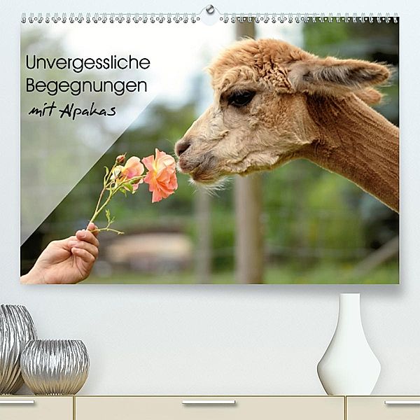 Unvergessliche Begegnungen mit Alpakas (Premium-Kalender 2020 DIN A2 quer), Heidi Rentschler