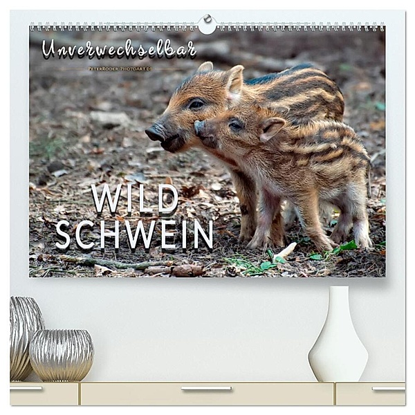 Unverwechselbar - Wildschwein (hochwertiger Premium Wandkalender 2025 DIN A2 quer), Kunstdruck in Hochglanz, Calvendo, Peter Roder