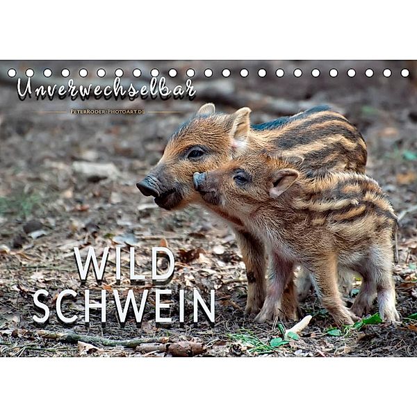 Unverwechselbar - Wildschwein (Tischkalender 2023 DIN A5 quer), Peter Roder