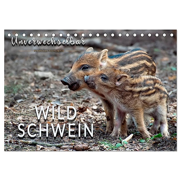 Unverwechselbar - Wildschwein (Tischkalender 2024 DIN A5 quer), CALVENDO Monatskalender, Peter Roder