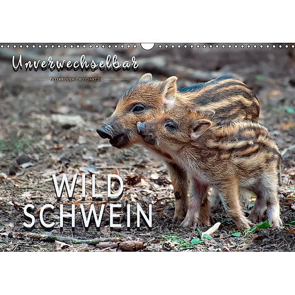 Unverwechselbar - Wildschwein (Wandkalender 2019 DIN A3 quer), Peter Roder