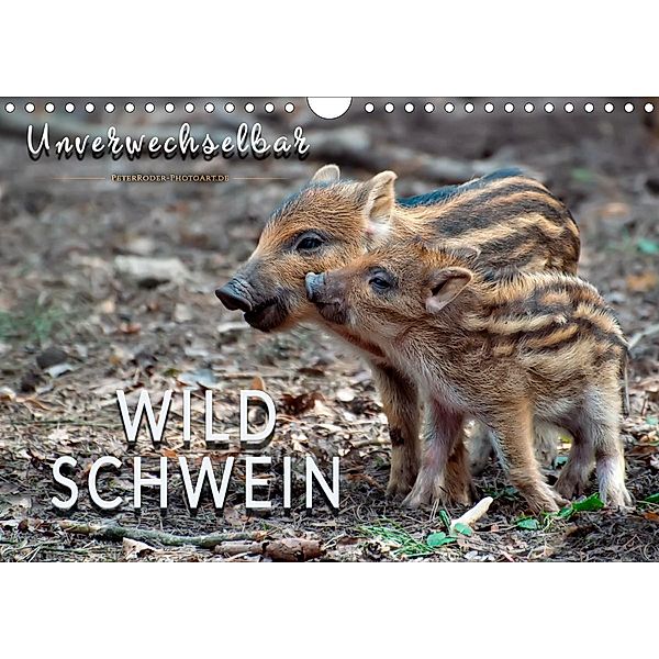 Unverwechselbar - Wildschwein (Wandkalender 2020 DIN A4 quer), Peter Roder