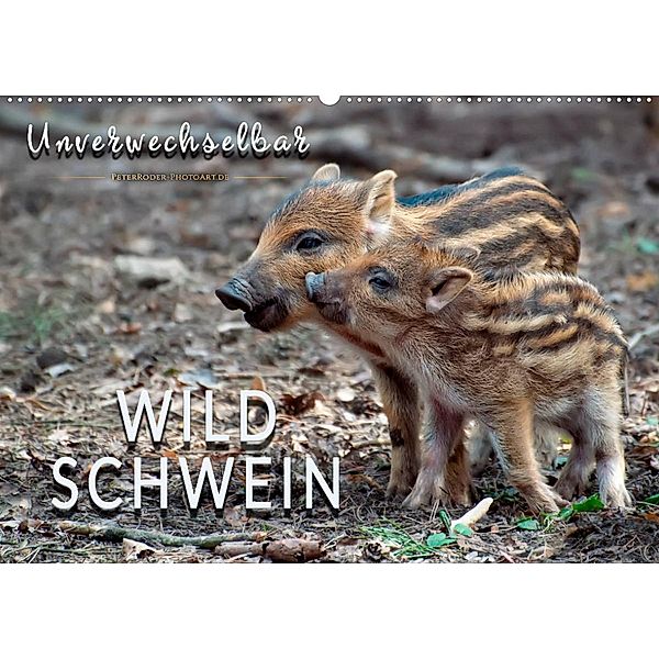 Unverwechselbar - Wildschwein (Wandkalender 2023 DIN A2 quer), Peter Roder