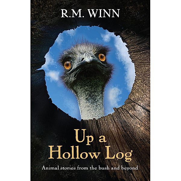 Up a Hollow Log, R. M. Winn