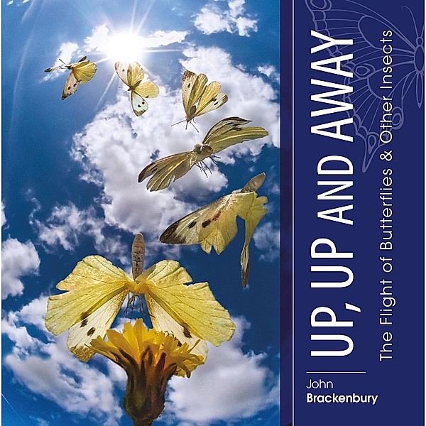 Up, Up and Away / Brown Dog Books, John Brackenbury