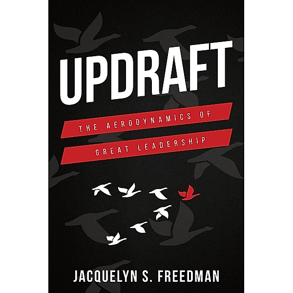 Updraft: The Aerodynamics of Great Leadership, Jacquelyn Freedman