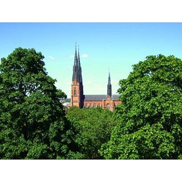 Uppsala - 100 Teile (Puzzle)