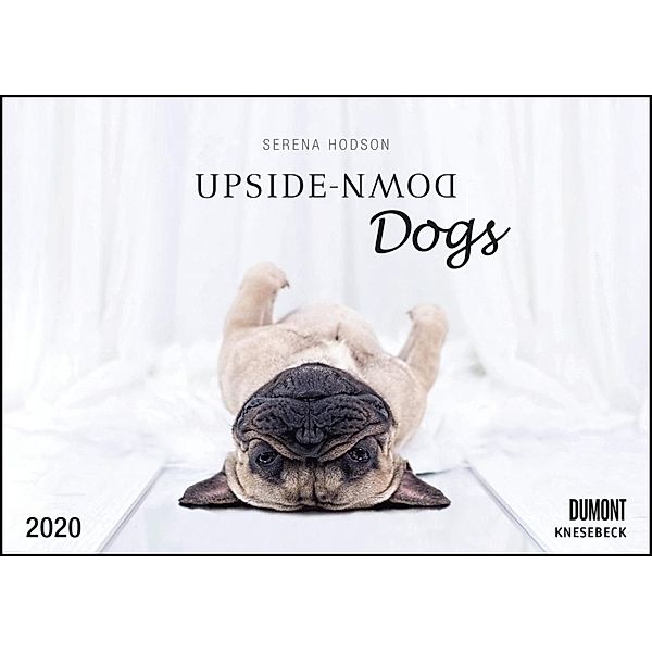 Upside-Down Dogs 2020