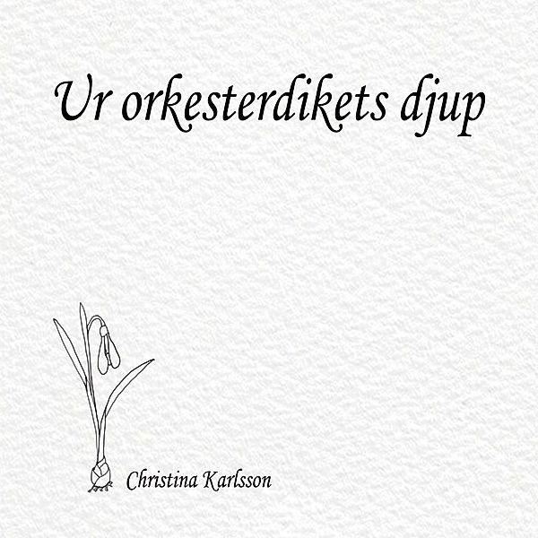 Ur orkesterdikets djup, Christina Karlsson