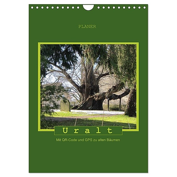Uralt - Mit QR-Code und GPS zu alten Bäumen (Wandkalender 2024 DIN A4 hoch), CALVENDO Monatskalender, Angelika keller