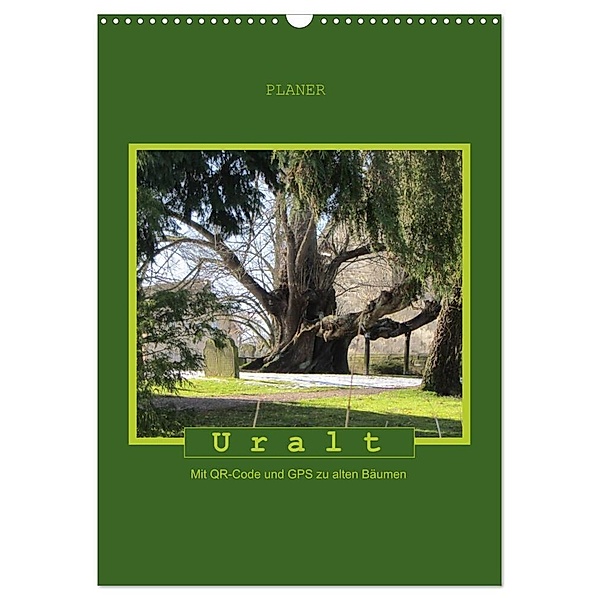 Uralt - Mit QR-Code und GPS zu alten Bäumen (Wandkalender 2024 DIN A3 hoch), CALVENDO Monatskalender, Angelika keller