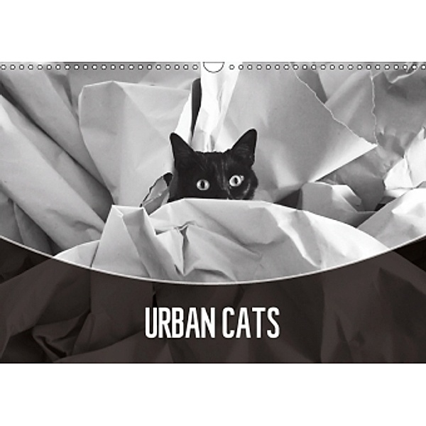 Urban Cats (Wall Calendar 2017 DIN A3 Landscape), Magda Lates
